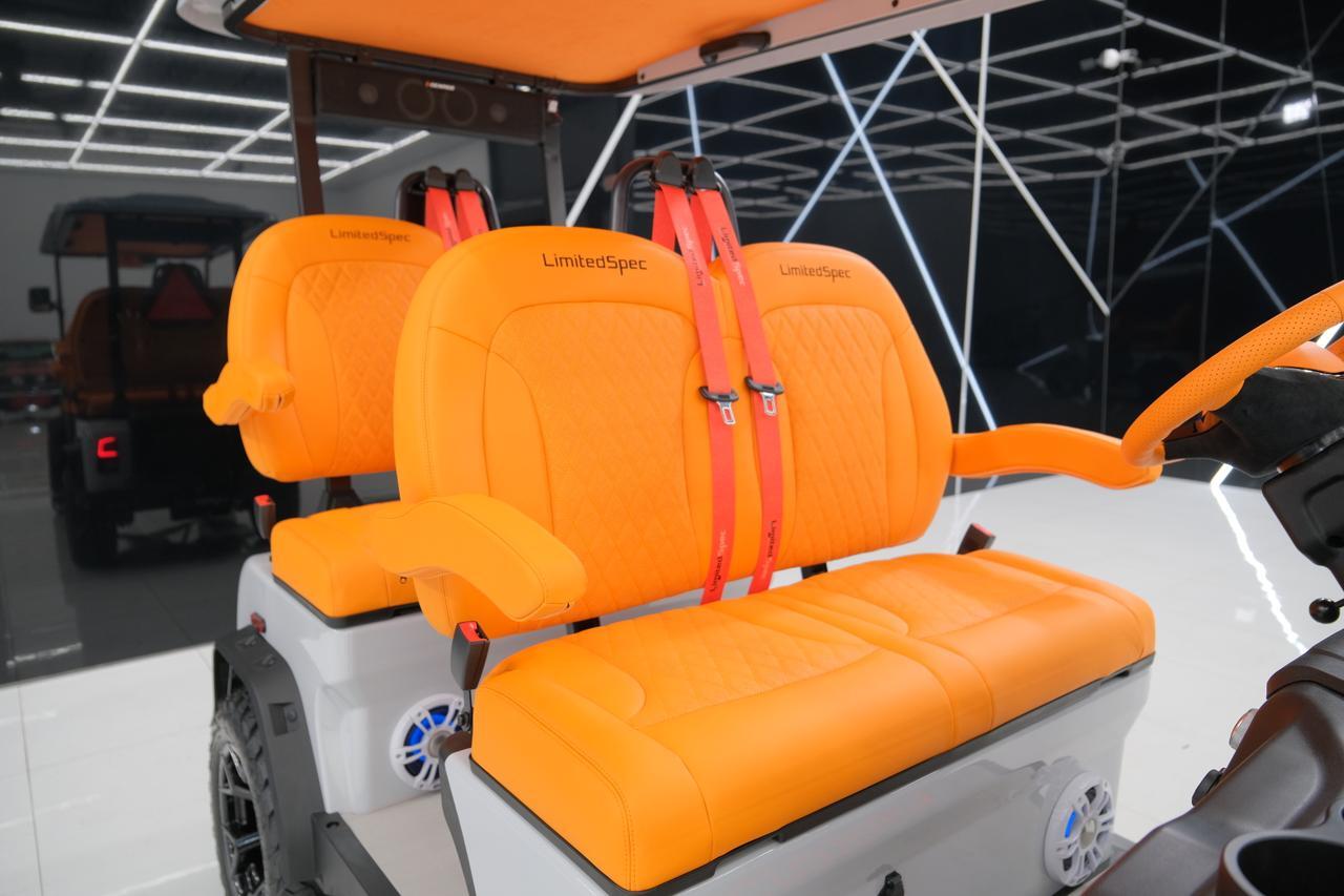 2025 DENAGO EV ROVER XL Miami FL