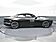 2025 Dodge Charger R/T