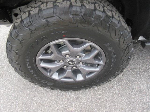 2025 Ford Bronco Badlands St. George SC