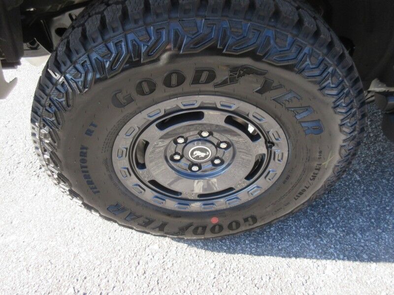 2025 Ford Bronco Badlands St. George SC