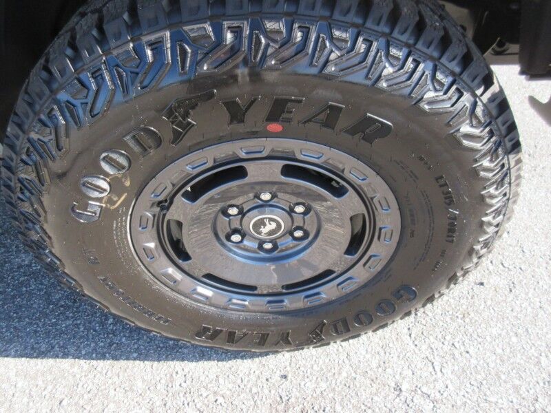 2025 Ford Bronco Badlands St. George SC