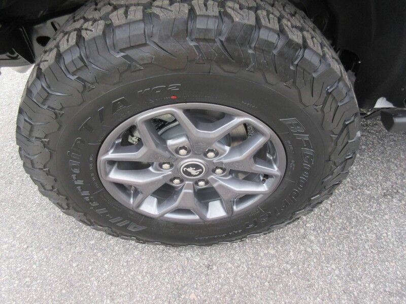 2025 Ford Bronco Badlands St. George SC