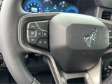2025 Ford Bronco Badlands San Diego County CA
