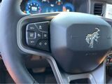 2025 Ford Bronco Badlands San Diego County CA