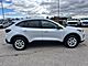 2025 Ford Escape Active Milwaukee WI