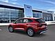 2025 Ford Escape Active Oshkosh WI