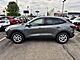 2025 Ford Escape Active Oshkosh WI