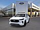 2025 Ford Escape Hybrid ST-Line Elite Oshkosh WI