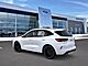 2025 Ford Escape Hybrid ST-Line Elite Oshkosh WI