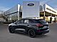 2025 Ford Escape Hybrid ST-Line Elite Oshkosh WI