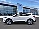2025 Ford Escape Hybrid ST-Line Select Oshkosh WI