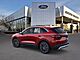 2025 Ford Escape Plug-In Hybrid Base Oshkosh WI
