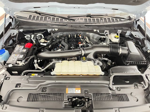 2025 Ford Expedition Active Carrollton TX
