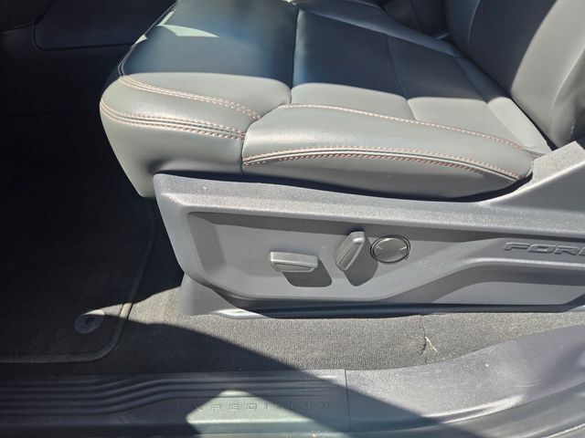 2025 Ford Expedition Active Folsom CA