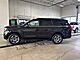 2025 Ford Expedition Active Milwaukee WI