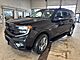 2025 Ford Expedition Active Milwaukee WI