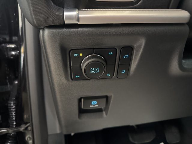 2025 Ford Expedition Active Random Lake WI