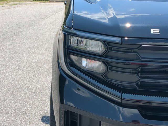 2025 Ford Expedition Active Appleton WI