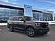 2025 Ford Expedition Active Oshkosh WI