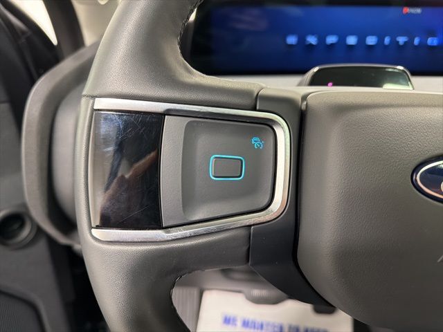 2025 Ford Expedition Active Pine River MN