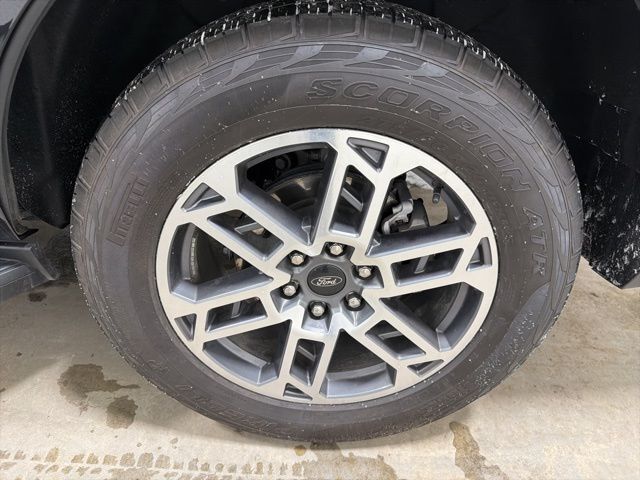 2025 Ford Expedition Active Pine River MN