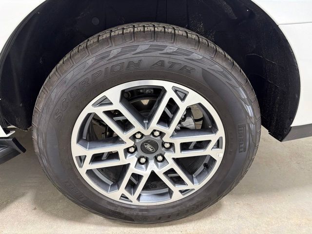 2025 Ford Expedition Active Pine River MN