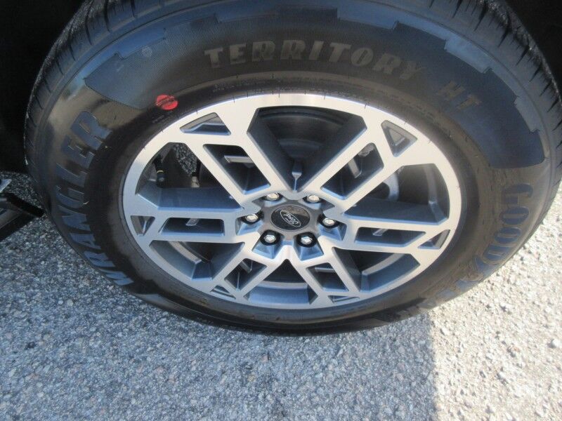 2025 Ford Expedition Active St. George SC
