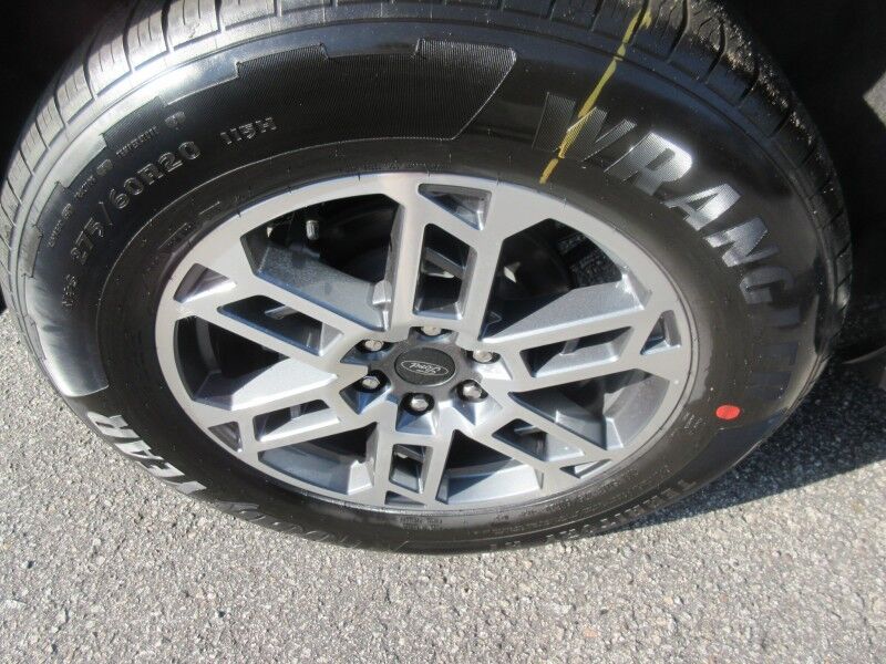 2025 Ford Expedition Active St. George SC