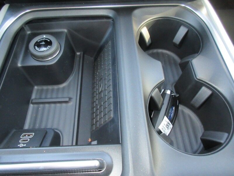 2025 Ford Expedition Active St. George SC