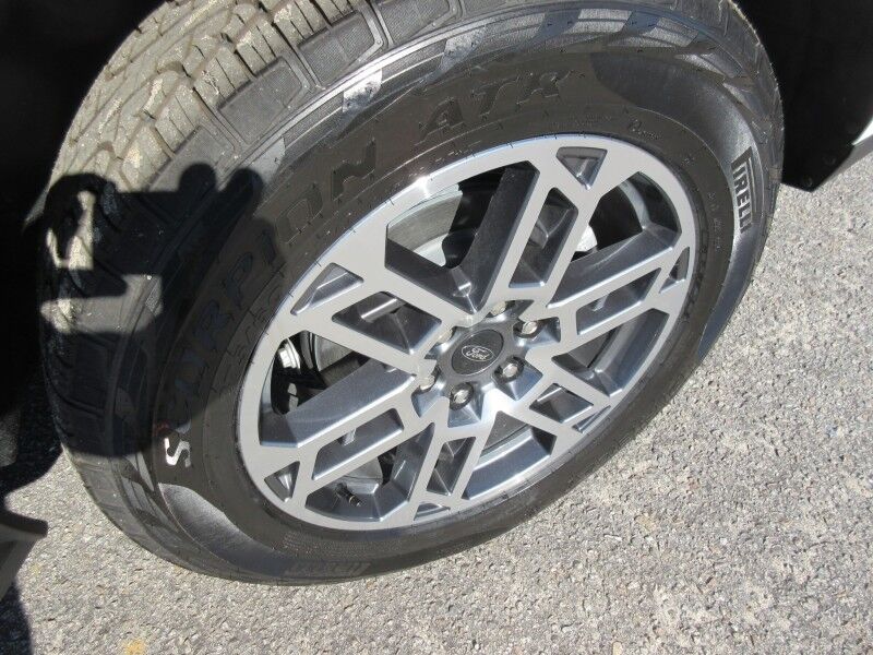 2025 Ford Expedition Active St. George SC