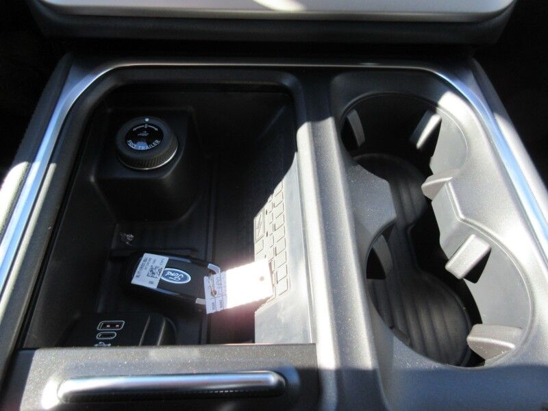 2025 Ford Expedition Active St. George SC