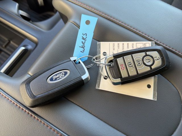 2025 Ford Expedition Active Watertown SD