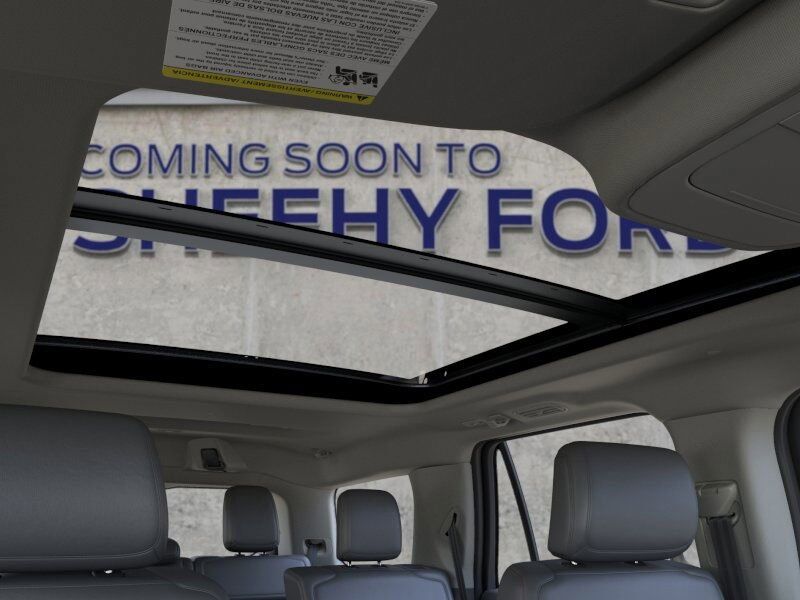 2025 Ford Expedition Active Richmond VA