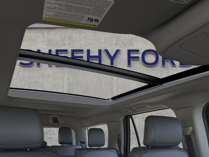 2025 Ford Expedition Active Richmond VA