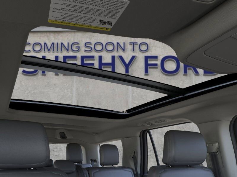 2025 Ford Expedition Active Richmond VA