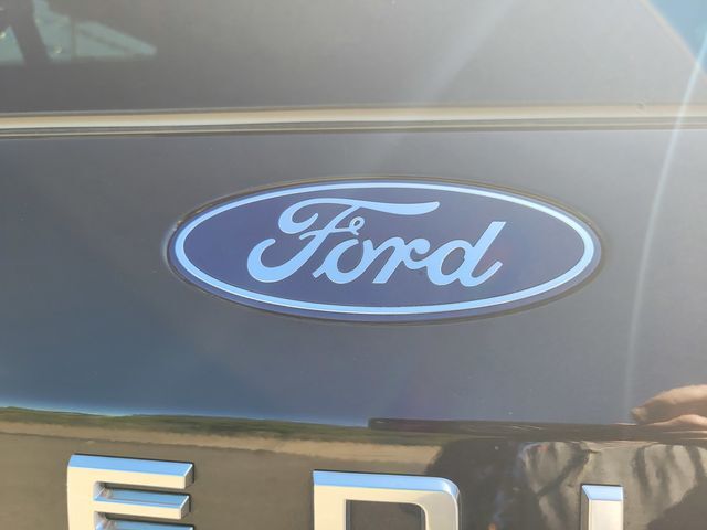 2025 Ford Expedition Max Active Folsom CA