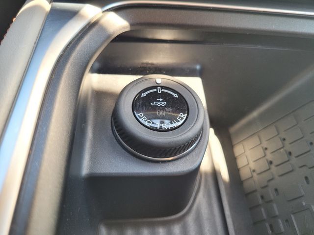 2025 Ford Expedition Max Active Folsom CA
