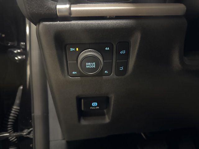 2025 Ford Expedition Max Active Random Lake WI