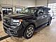 2025 Ford Expedition Max Active Milwaukee WI