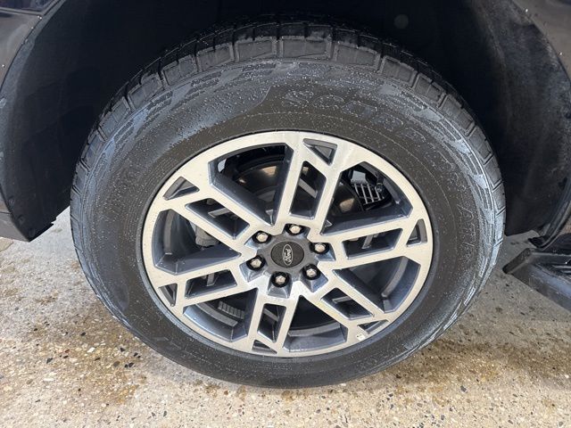 2025 Ford Expedition Max Active Random Lake WI