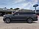 2025 Ford Expedition Max Active Oshkosh WI