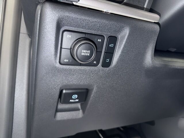 2025 Ford Expedition Max Active Pine River MN