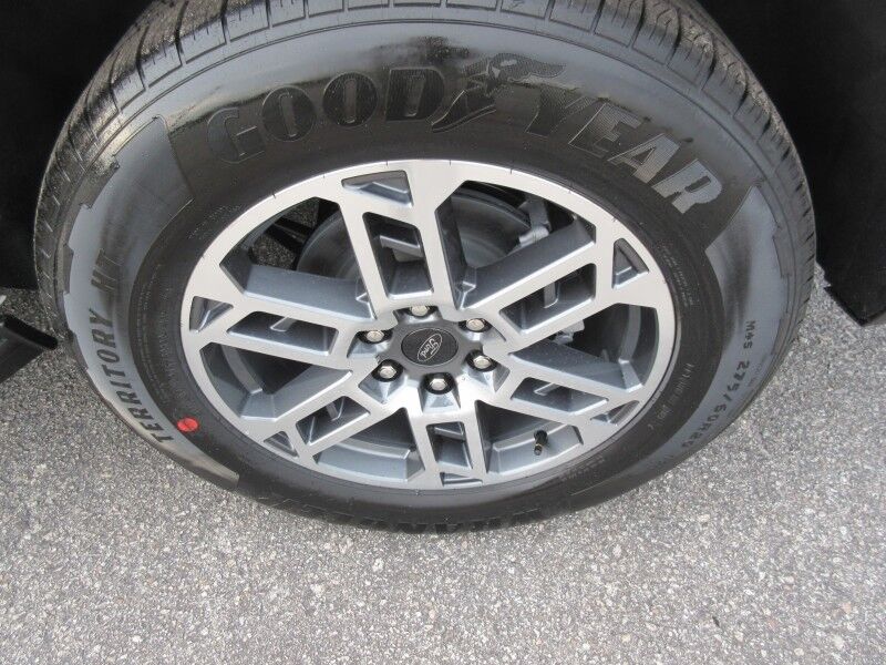 2025 Ford Expedition Max Active St. George SC