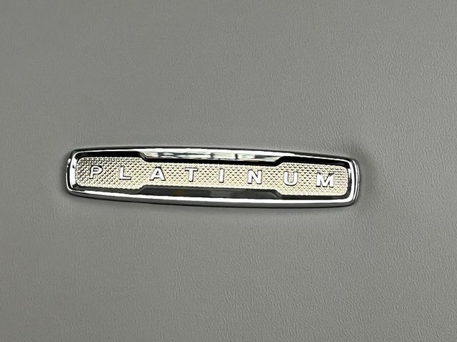 2025 Ford Expedition Max Platinum Carrollton TX