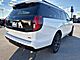 2025 Ford Expedition Max Platinum Milwaukee WI