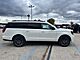 2025 Ford Expedition Max Platinum Milwaukee WI