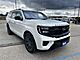 2025 Ford Expedition Max Platinum Milwaukee WI