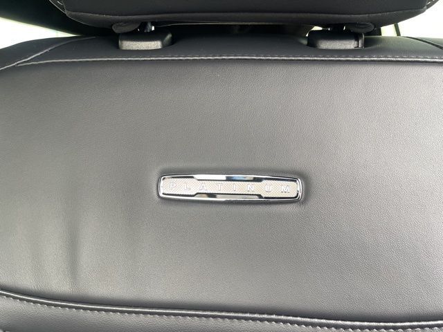 2025 Ford Expedition Max Platinum Random Lake WI