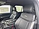 2025 Ford Expedition Max Platinum Milwaukee WI