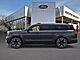 2025 Ford Expedition Max Platinum Oshkosh WI